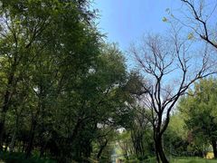 -北坞公园