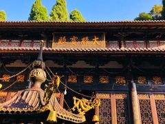 -花岩国家森林公园