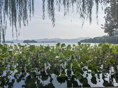 -西湖游船