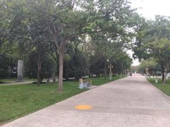 -唐城墙遗址公园