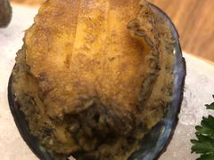 -一本钓鲔鱼屋