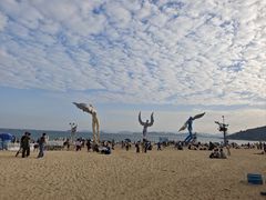 -大梅沙海滨公园