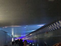-白鹤梁水下博物馆