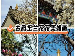 -护国法轮寺