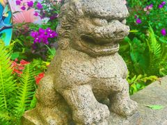 -上海醉白池公园