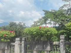 -中国科学院西双版纳热带植物园
