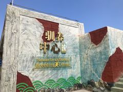 -广东惠东海龟国家级自然保护区
