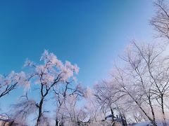 -雾凇岛