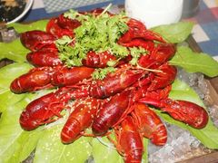 -青岛得宝湾维景国际大酒店(五四广场奥帆中心店)