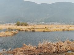 -腾冲北海湿地