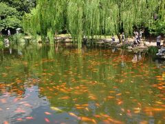 -西湖外事游船(花港观鱼码头)