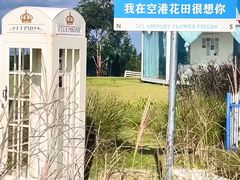 -空港花田景区