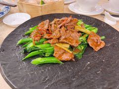 芥兰沙茶炒牛肉-麒麟中餐厅·经典粤菜·地道菜式老字号(广州长隆酒店)