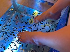 -汤连得温泉馆(宝山店)