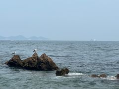 -棒棰岛宾馆景区