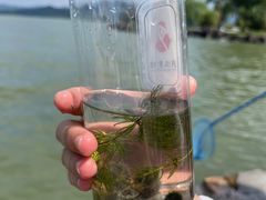 -东钱湖旅游度假区