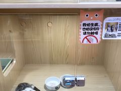 -屋虎猫馆(宝安大仟里店)