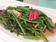 -大树餐厅(红旗街万达店)