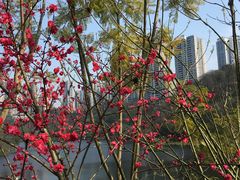 -重庆彩云湖湿地公园