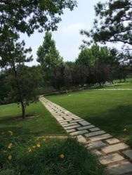 -大望京儿童游乐场