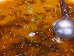 -光海·乡记酸菜鱼·始于1996(花园路店)