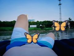 -梁子湖风景区