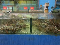 -大茄来海鲜餐厅(亚洲城分行)