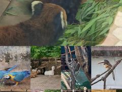 -沈阳森林动物园