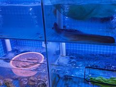 -長壹旋转烤吧 农家鸡火锅