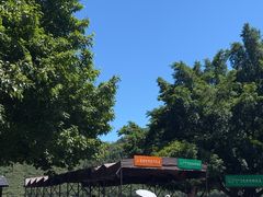 -白帝城·瞿塘峡景区