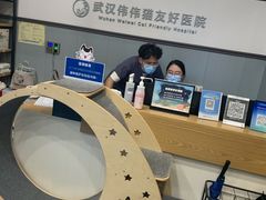 -伟伟宠物医院·瑞派猫友好医院·猫科(光谷店)
