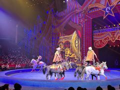 -珠海横琴长隆《卡卡虎奇遇记》