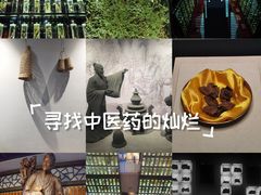 -广东中医药博物馆