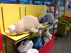 -PAWTOY爪e玩偶店(天兴罗斯福店)