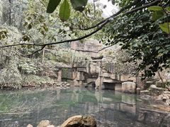 -潜山国家森林公园