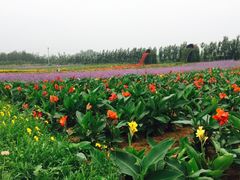 -渔岛海洋度假区