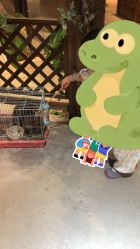 -酷嗒动物文化乐园(cutezoo西溪乐天城店)