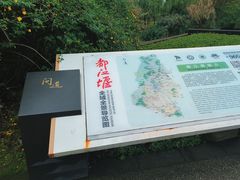 -都江堰中华大熊猫苑