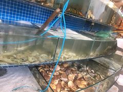 水产区-蟹谢蒸鲜自助餐厅