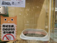 -屋虎猫馆(宝安大仟里店)
