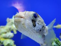 -乌鲁木齐海洋馆