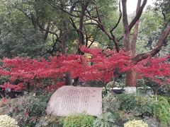 -杭州半山国家森林公园