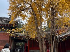 -承恩寺