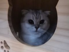 -悠米私人影院(街道口店)