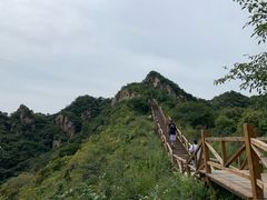-大岭沟猕猴桃谷风景区