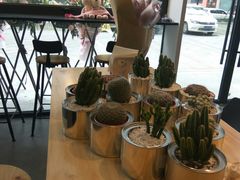 -ICEPOPO MILK(玉兰店)