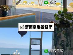 -野菌皇海景野生菌火锅(滨海大道店)
