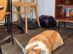 -肥朵食堂(带梦胡同店)