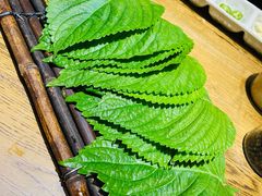 苏子叶-泥炉烧肉师(新街口金銮巷店)