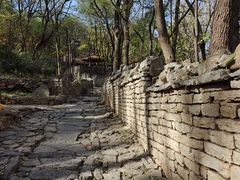 -井塘古村